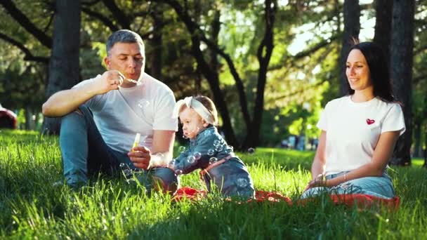 Parkta aile pikniğinde sabun kabarcıkları ile bebek kız eğlenceli baba — Stok video