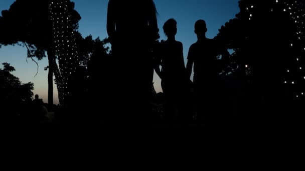 Gün batımında yaz parkında yürüyen ve boş vakit geçiren insanların siluetleri — Stok video