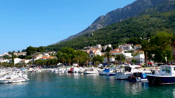 Vacker morgon utsikt över Adriatiska havet Bay med segelbåtar på sommaren — Stockvideo