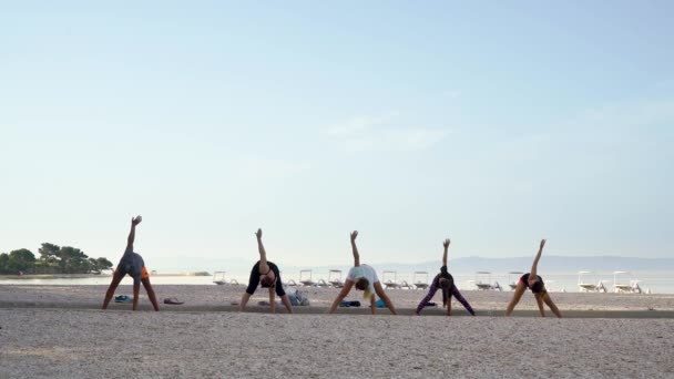 Groep mensen die yoga beoefenen op het strand met gratis en kopieer ruimte — Stockvideo