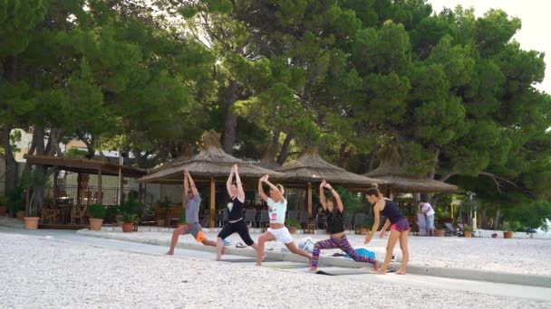 Baska Voda, Kroatië-12 jun 2019: groep mensen die yoga beoefenen op het strand — Stockvideo