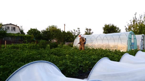 Человек в защитной маске и очках, распыляющий пестициды на картофельное поле — стоковое видео
