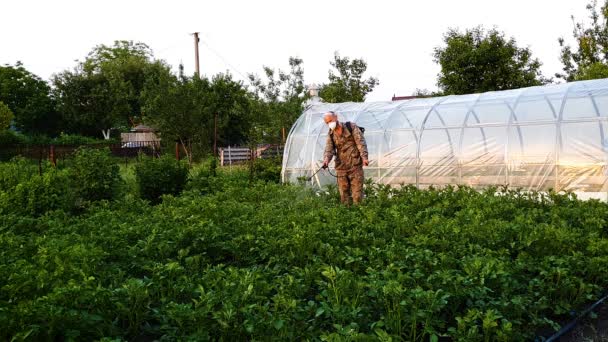Agricultor em roupas protetoras e máscara pulveriza produtos químicos no campo de batata — Vídeo de Stock