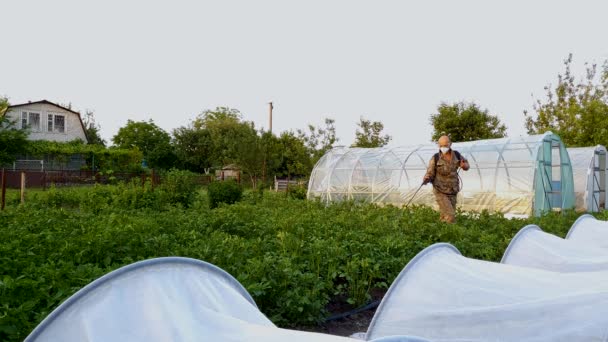 Чоловік у захисній масці та окулярах розбризкує пестициди на картопляному полі — стокове відео