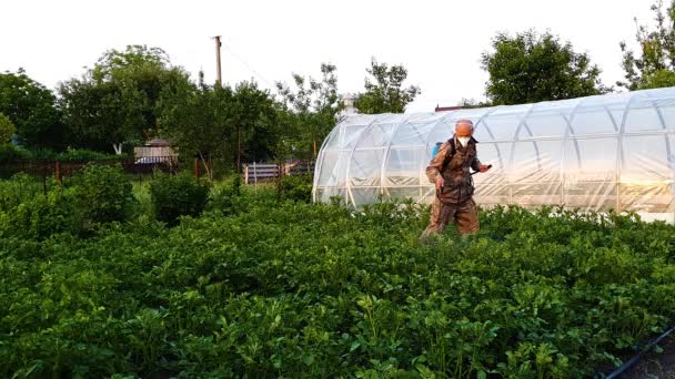 Agricultor vestindo roupas protetoras e máscara pulveriza produtos químicos em brotos de batata — Vídeo de Stock