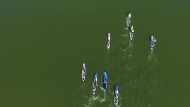 Plan aérien du haut vers le bas de la compétition de pagaie debout sur l'eau vert foncé — Video