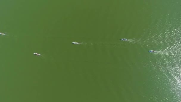 Arriba hacia abajo de los corredores de SUP que compiten en el agua verde oscuro — Vídeo de stock
