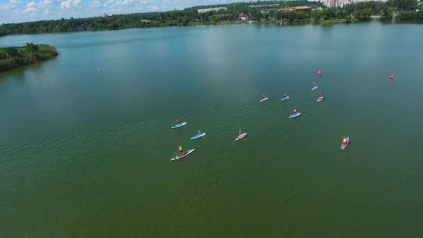 Antena stand up zawodników paddle konkurować na ciemnozielonej rzece w lecie — Wideo stockowe