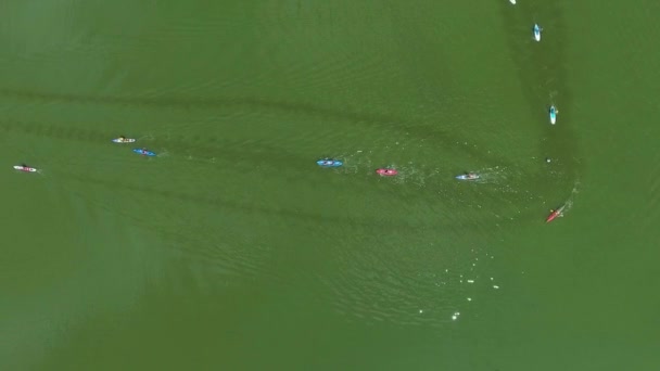 Воздушная вершина гребцов на байдарках и досках SUP соревнуется на водных гонках — стоковое видео