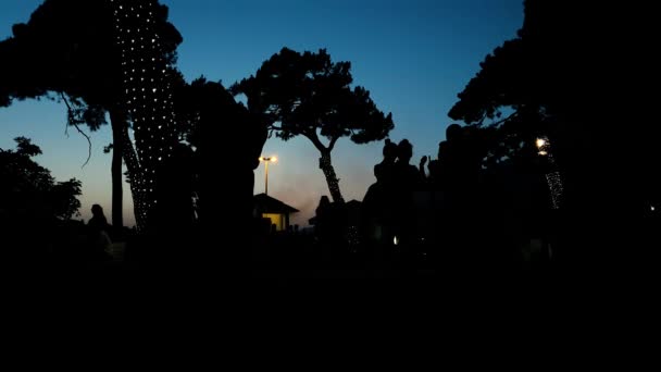 Silhouettes des gens au festival de l'artisanat au coucher du soleil dans le parc urbain au ralenti — Video