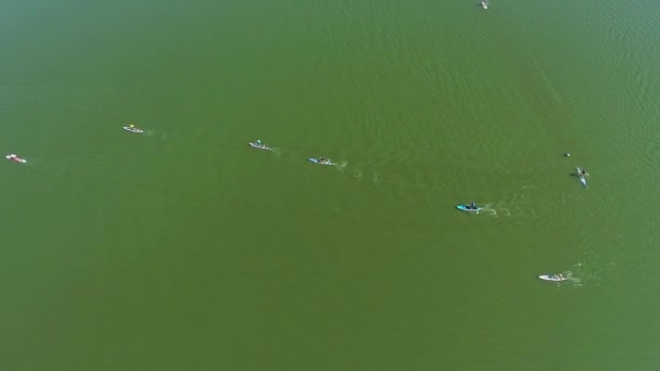 Antena stand up zawodników paddle konkurujących na ciemnozielonym rzece — Wideo stockowe