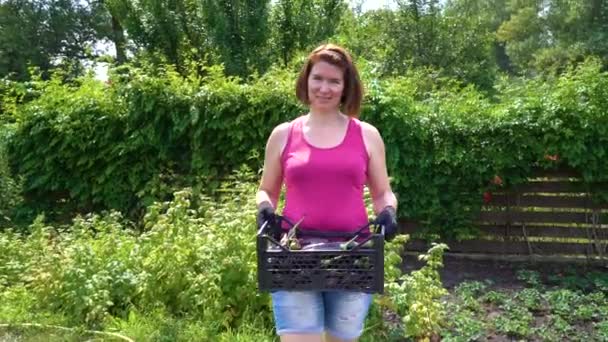 Agricultora caucasiana portadora de caixa de plástico com berinjelas colhidas — Vídeo de Stock