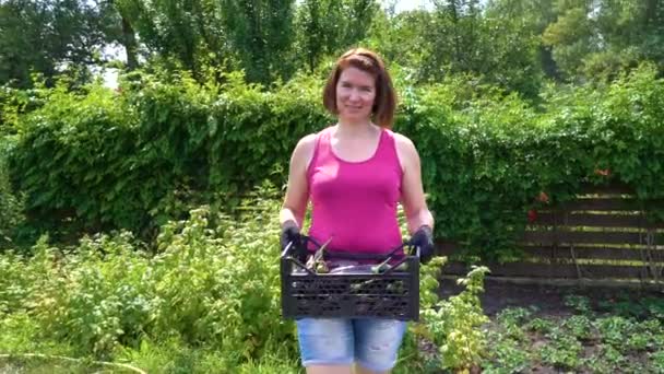 Femme agricultrice caucasienne portant une boîte en plastique avec des aubergines récoltées — Video