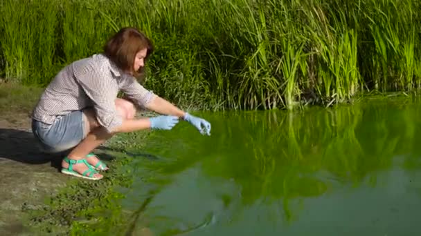 Adult kvinna ekolog ta prover av gröna alger i provrör på Riverbank — Stockvideo