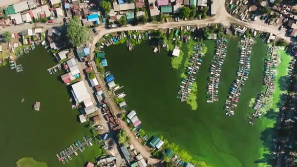 Εναέρια κορυφή κάτω από το χωριό των αλιέων στο ποτάμι μολυσμένο με πράσινα φύκια — Αρχείο Βίντεο