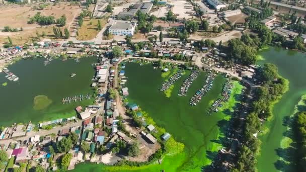 Aerial of river bay polluted with green algae with huts and boat docks on banks — Stock Video