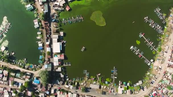 Aerial top down of fisherman huts and docks at river polluted with green algae — Stock Video