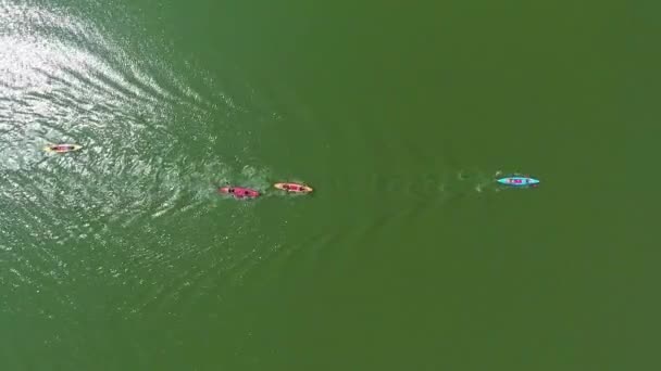 Antenowe góry w dół z wody kajak konkurs na zielonej rzece odbijającej słońce — Wideo stockowe