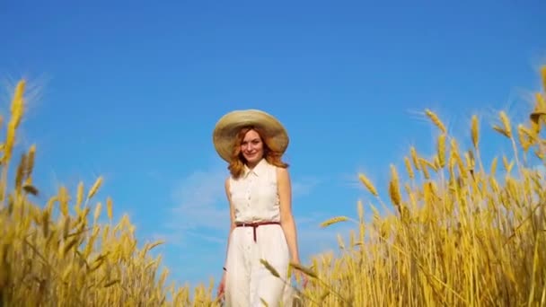 Tiro de ángulo bajo de la mujer de pelo rojo romántico feliz caminando en el campo de trigo — Vídeo de stock