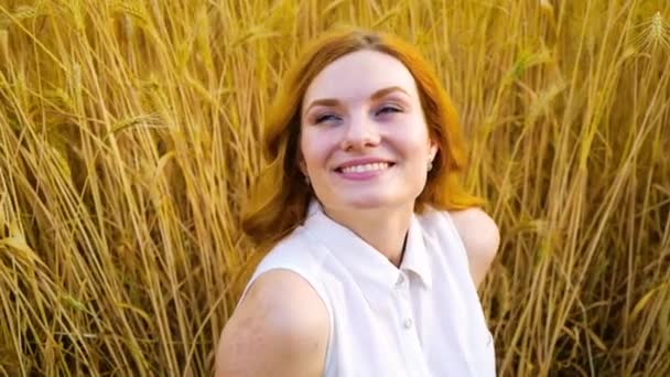 Retrato de mujer pelirroja feliz mirando hacia arriba en el cielo sentado en el campo de trigo — Vídeos de Stock