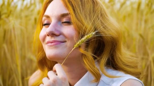 Close-up retrato de jovem mulher com trigo orelha dia sonhando no campo de trigo — Vídeo de Stock