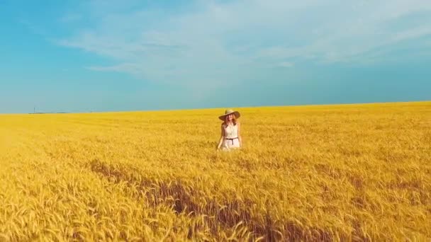 Antenne van romantische jonge vrouw wandelen in gouden tarwe veld in de zomer — Stockvideo