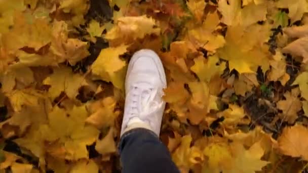 Top down POV caminando en zapatillas blancas sobre hojas caídas de otoño — Vídeo de stock