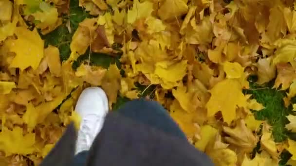 緑のフィールドに落ちた秋の葉を蹴るティーンエイジャーのトップダウンPov — ストック動画
