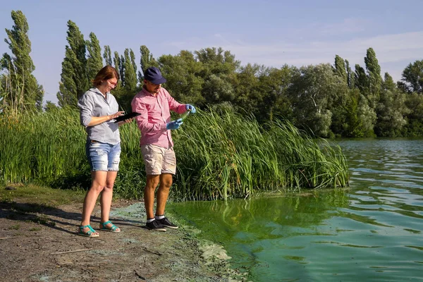 ecologists research green algae sample taken in river and enter data on tablet