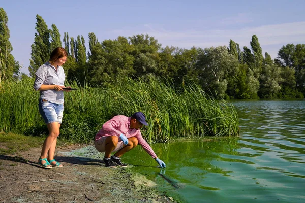 ekolojist araştırmacılar yeşil yosun örnekleri almak ve tablet veri girin