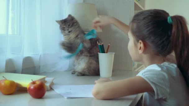 Küçük kız onu evcil kedi ile oynarken ve kameraya bakarak — Stok video