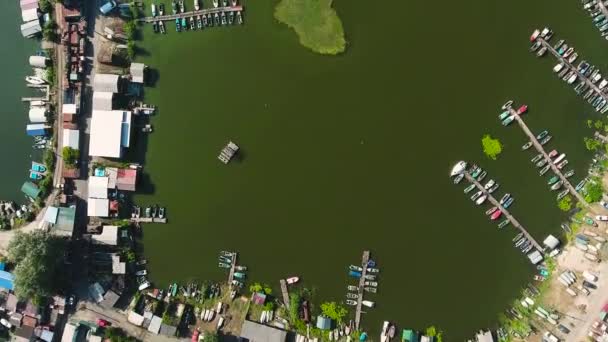 Повітря зверху річкової гавані з будинками і човнами з зеленими водоростями у воді — стокове відео