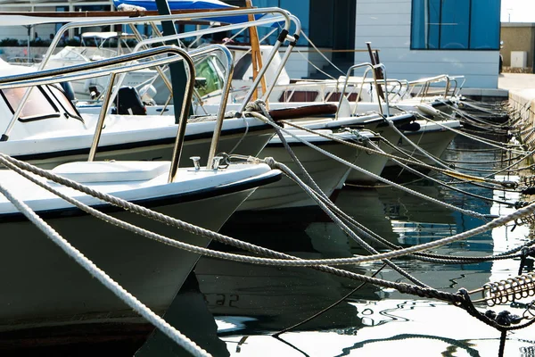 büyük halatlar tarafından deniz rıhtımına sıkıştırılmış lüks yatların kırpılmış görünümü