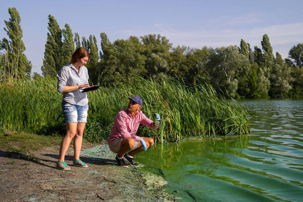team of ecologists take samples of green algae on bank of polluted river