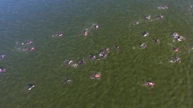 su yarışında koyu yeşil nehri geçen atletyüzücüler havadan