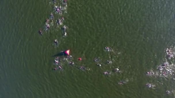 Arriba arriba hacia abajo de nadadores en la boya de derivación de carrera de triatlón flotando en el agua — Vídeo de stock