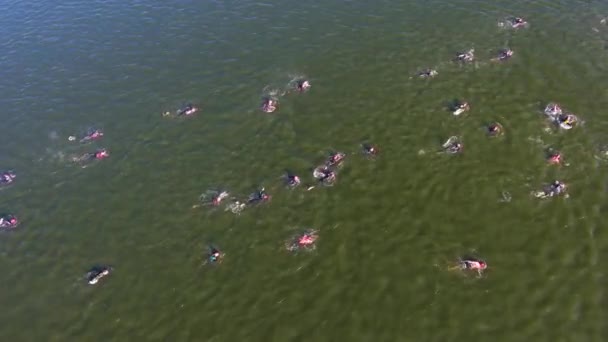 Aerial of athletes swimmers crossing dark green river at water race — Stock Video