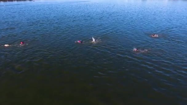 Aerial grupy zawodników Triathlon konkurować na etapie pływania na rzece — Wideo stockowe