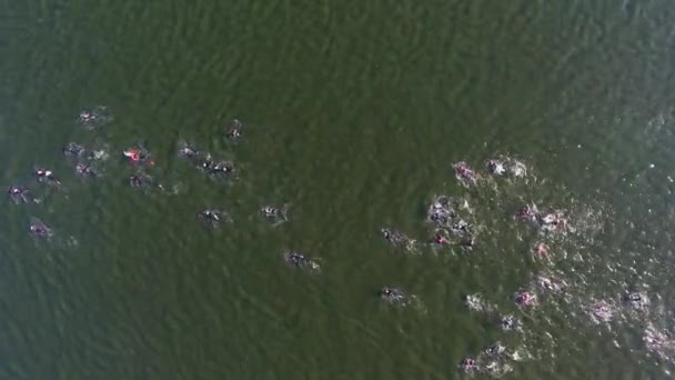 Aerial top down of ironman triathlon swimmers bypass red buoy floating on water — Stock Video