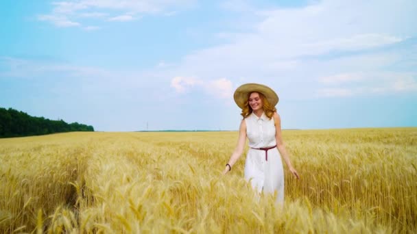 Feliz romántico pelirroja mujer camina en el campo de trigo y toca maduro trigo espigas — Vídeos de Stock