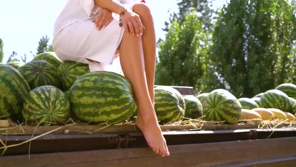 Chica en traje popular posando sobre sandías en el paisaje rural — Vídeo de stock