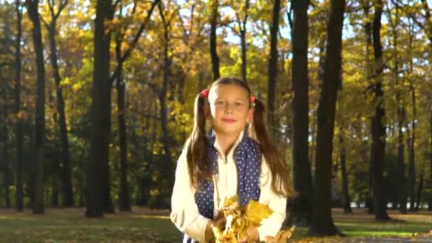 Ευτυχισμένο μικρό κορίτσι κοιτάζει την κάμερα και ρίχνει τα κίτρινα φύλλα στο ηλιόλουστο φθινοπωρινό πάρκο — Αρχείο Βίντεο