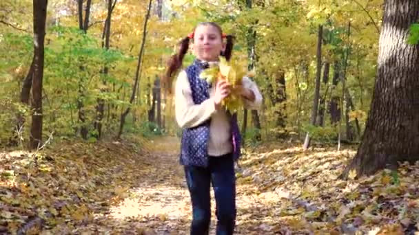 Little girl running in sunny autumn park and throwing leaves — Stock Video