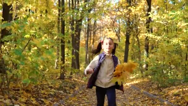 mignonne petite fille regarde caméra et court vers caméra en mouvement dans la forêt d'automne 
