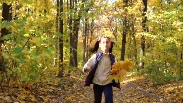 Roztomilá holčička kouká na kameru a míří k pohyblivé kameře v podzimním lese — Stock video