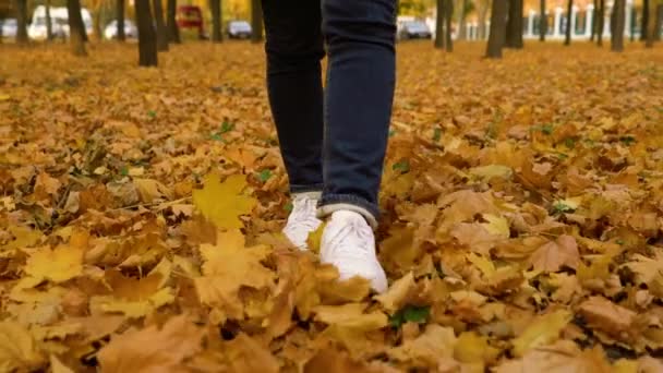 Mujer pies en zapatillas de deporte caminando en el suelo cubierto con hojas caídas de otoño — Vídeos de Stock