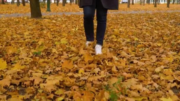 Feminino hipster chutando caído outono folhas andando na floresta — Vídeo de Stock