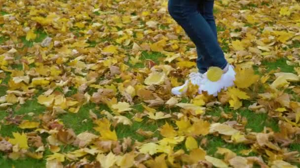 Düşmüş sonbahar yaprakları ile kaplı çim alanda yürüyen genç — Stok video