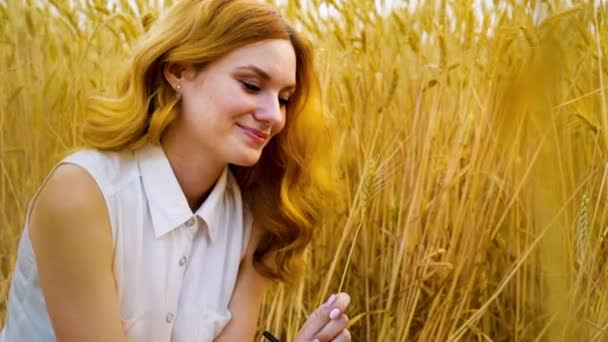 Chica romántica con el pelo rojo sentado en el campo de trigo — Vídeos de Stock