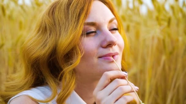Chica romántica soñando despierto en el campo de trigo dorado en verano — Vídeos de Stock